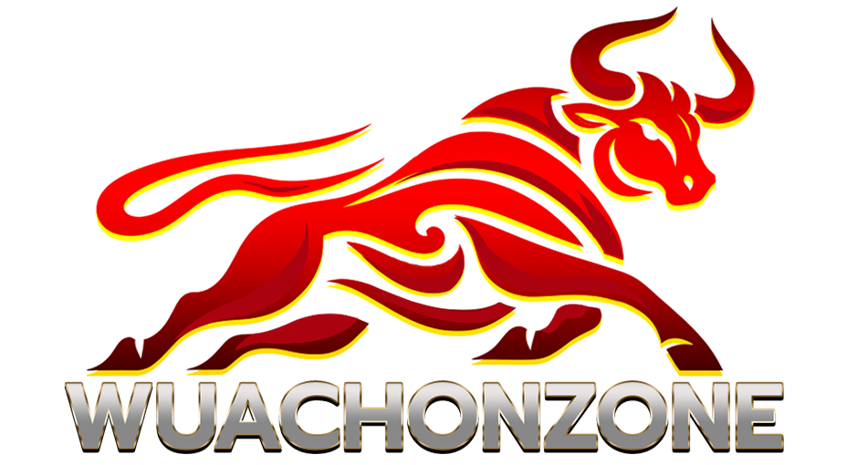 แทงวัวชน