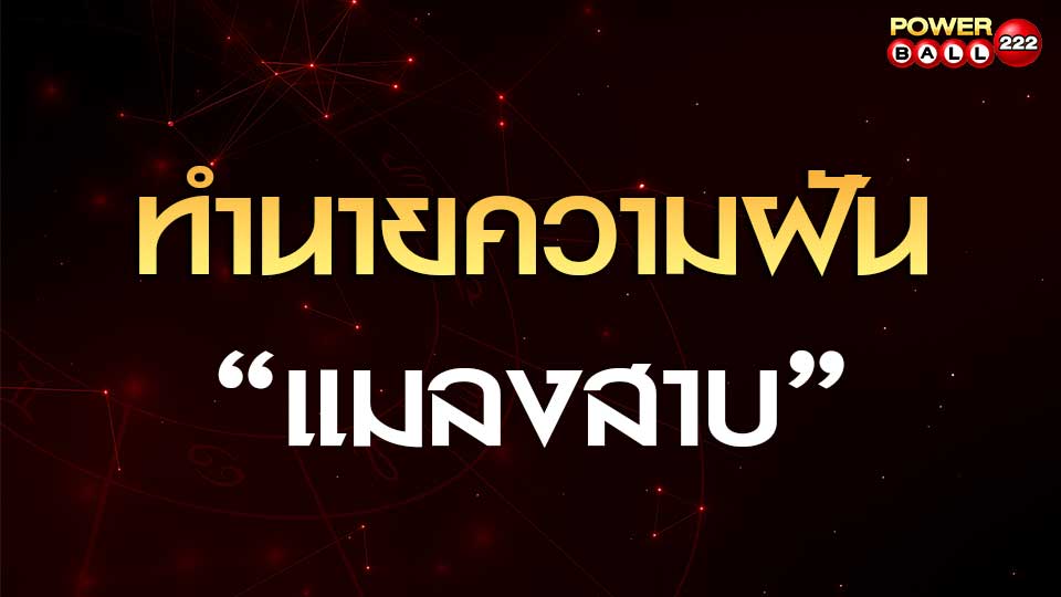 ทำนายฝันเห็นแมลงสาบ